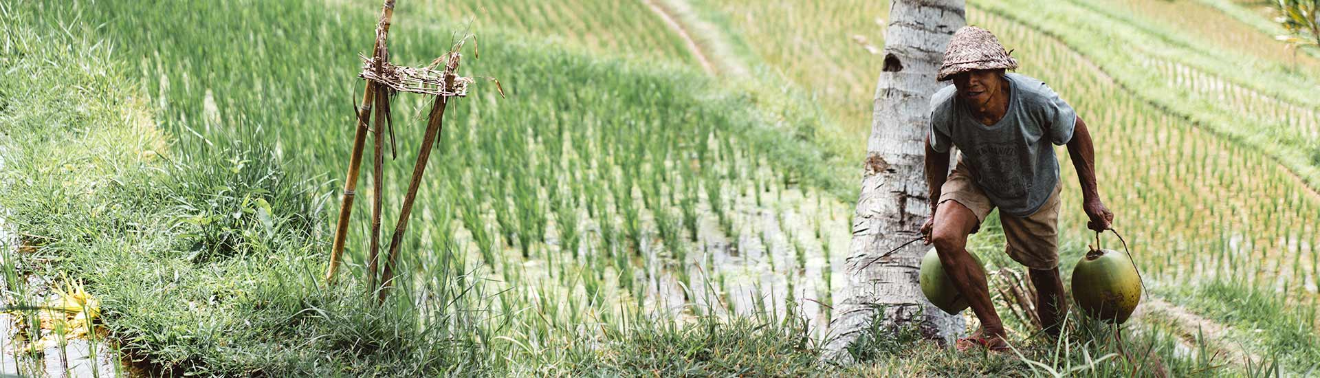 Conservation Enterprise Development Program Cepd Myanmar Cambodia